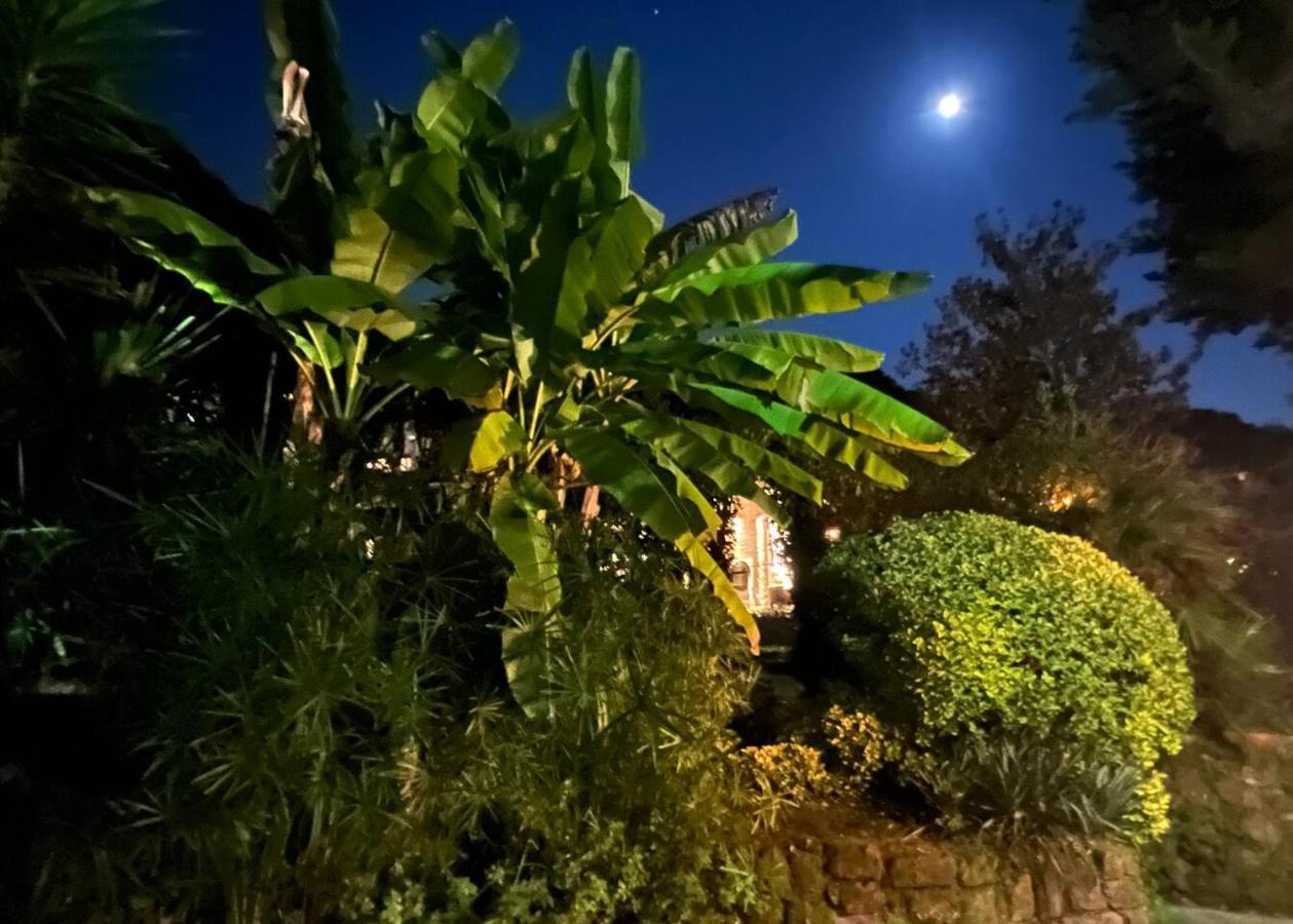 Chalet Marmont